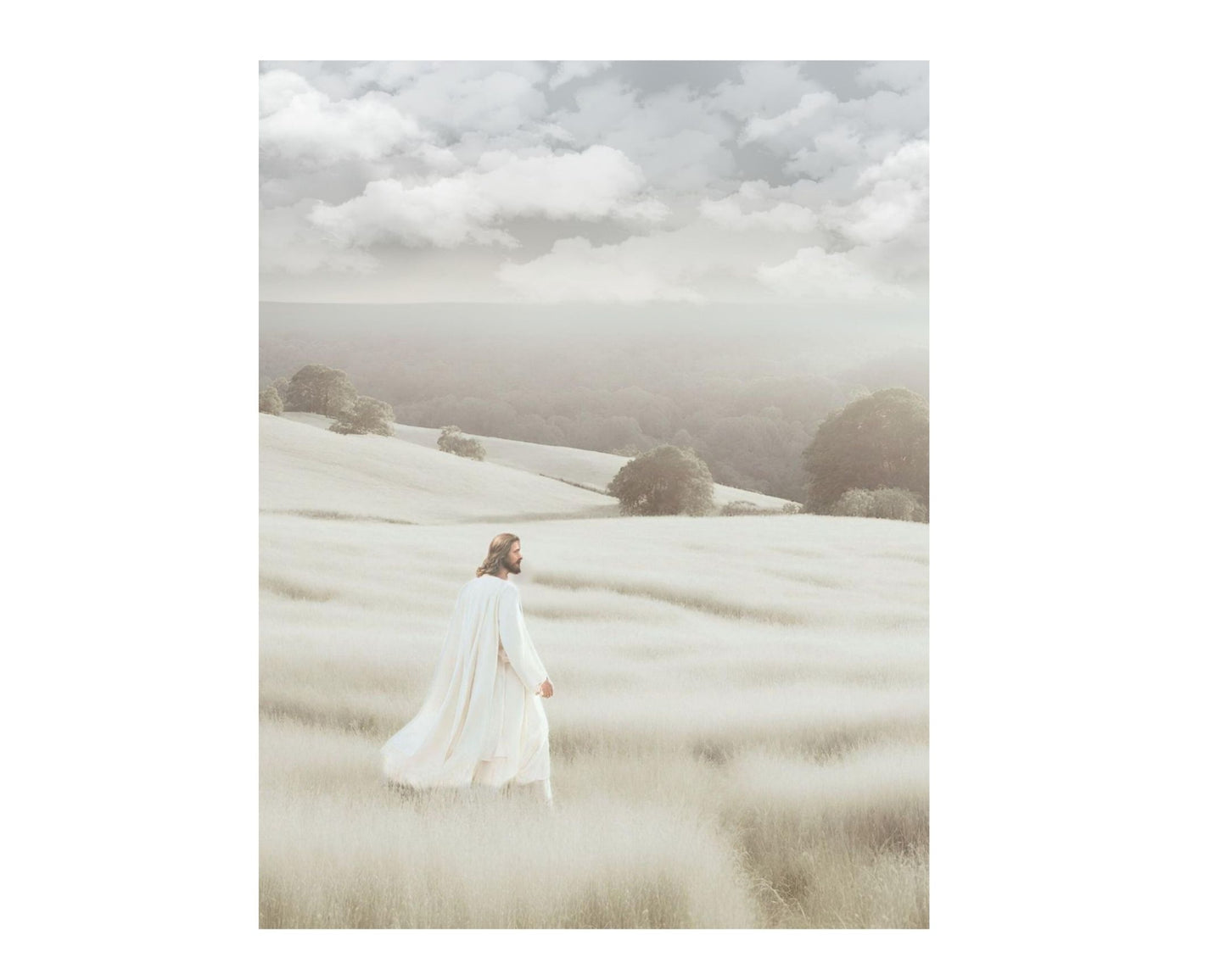 MY REDEEMER LIVES