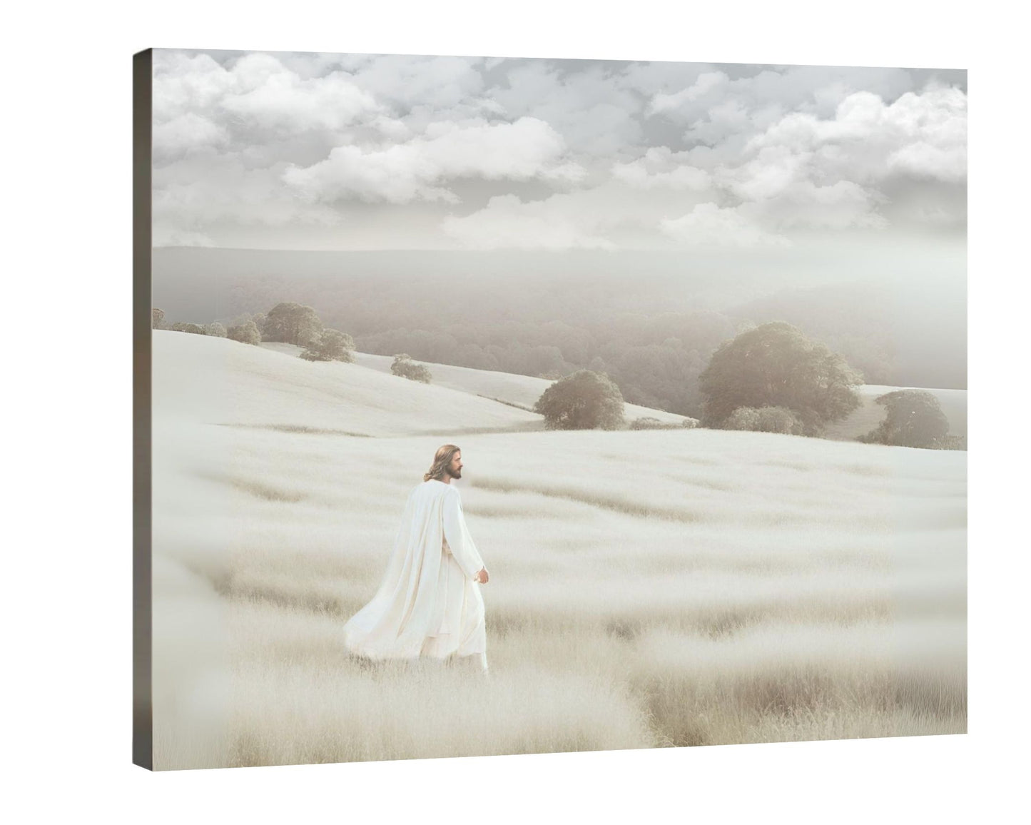 MY REDEEMER LIVES