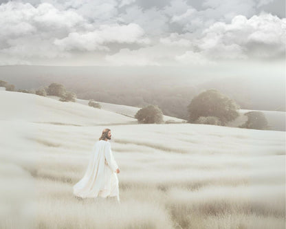 MY REDEEMER LIVES