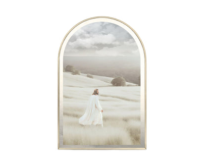 MY REDEEMER LIVES