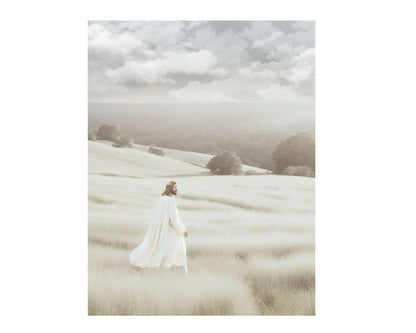 MY REDEEMER LIVES