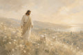 Fields of Grace
