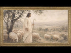 Known by the Shepherd